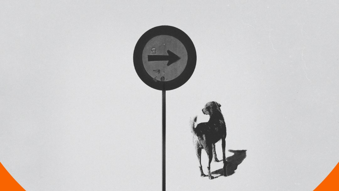 Cartaz da exposição "Tardes, passos e canções", de Thiago dos Reis, com design minimalista em tons de laranja, branco e preto. Ao centro, uma fotografia em preto e branco mostra um cachorro parado ao lado de uma placa de trânsito com seta apontando para a direita, criando uma composição simples e contemplativa. Na parte inferior aparecem a identidade visual do Pontos MIS e a indicação de que a exposição acontece em Santos.