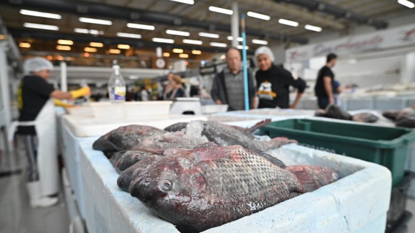 Mercado de Peixes