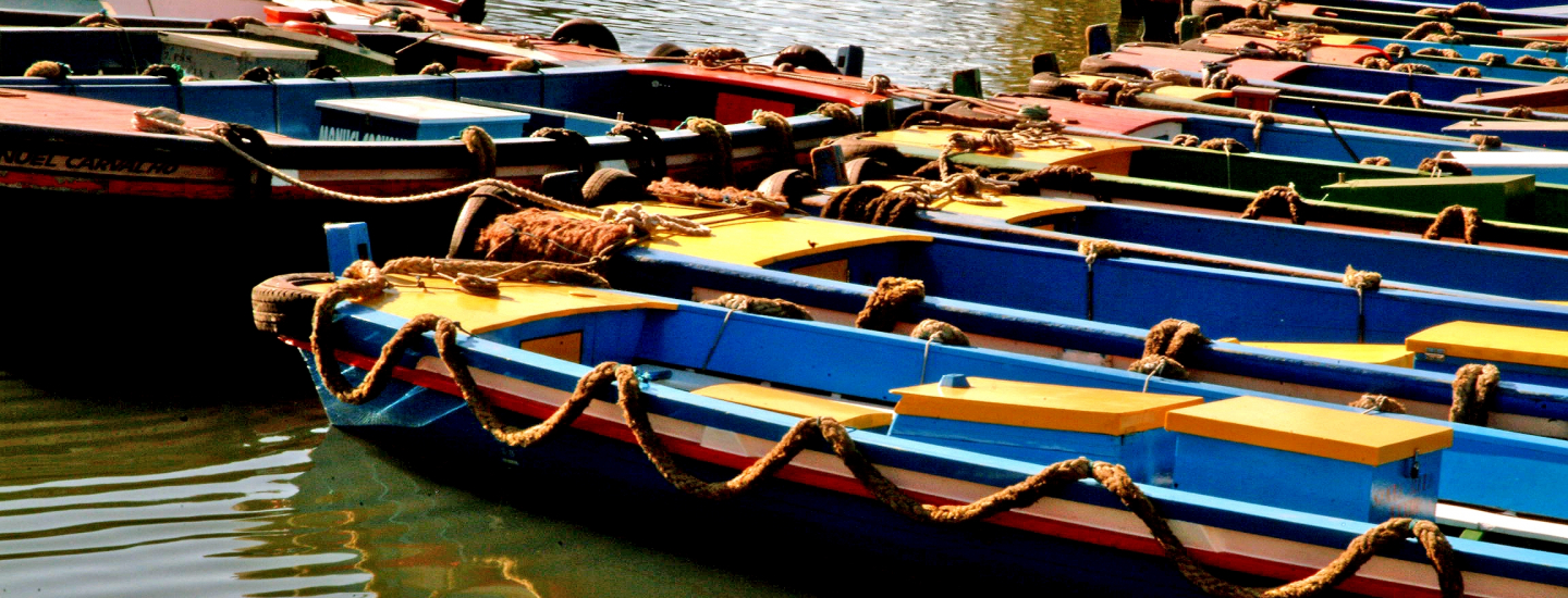 Várias embarcações coloridas de madeira, alinhadas lado a lado e presas por cordas grossas, flutuam sobre a água calma