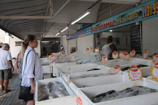 Mulher observa caixas de isopor cheias de peixes sobre gelo em um box do Mercado de Peixes de Santos, com placas de promoção destacadas