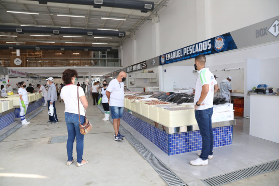 Interior do Mercado de Peixes de Santos, com bancadas de azulejos azuis exibindo diversos pescados. Clientes observam os produtos enquanto vendedores atendem nos boxes ao fundo.