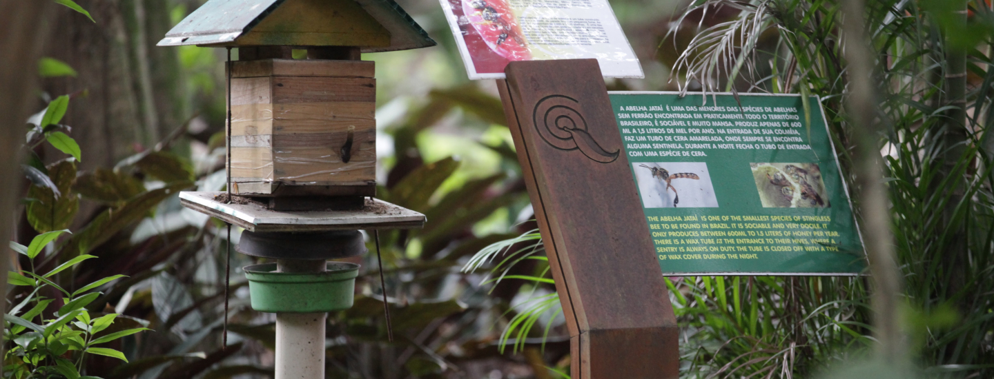 Caixa de madeira para abelhas sem ferrão em meio à vegetação, acompanhada de placas informativas