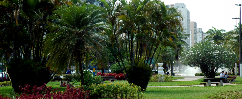 A imagem mostra um trecho dos jardins da orla de Santos, um dos maiores jardins de orla do mundo. O local está bem cuidado, com gramado verde, canteiros floridos e diversas espécies de palmeiras e arbustos ornamentais. Há bancos de madeira distribuídos pelo espaço, onde algumas pessoas aproveitam para descansar ou conversar à sombra das árvores. Ao fundo, vêem-se edifícios residenciais e comerciais, além de uma fonte com jatos d’água que adiciona frescor e beleza à paisagem.