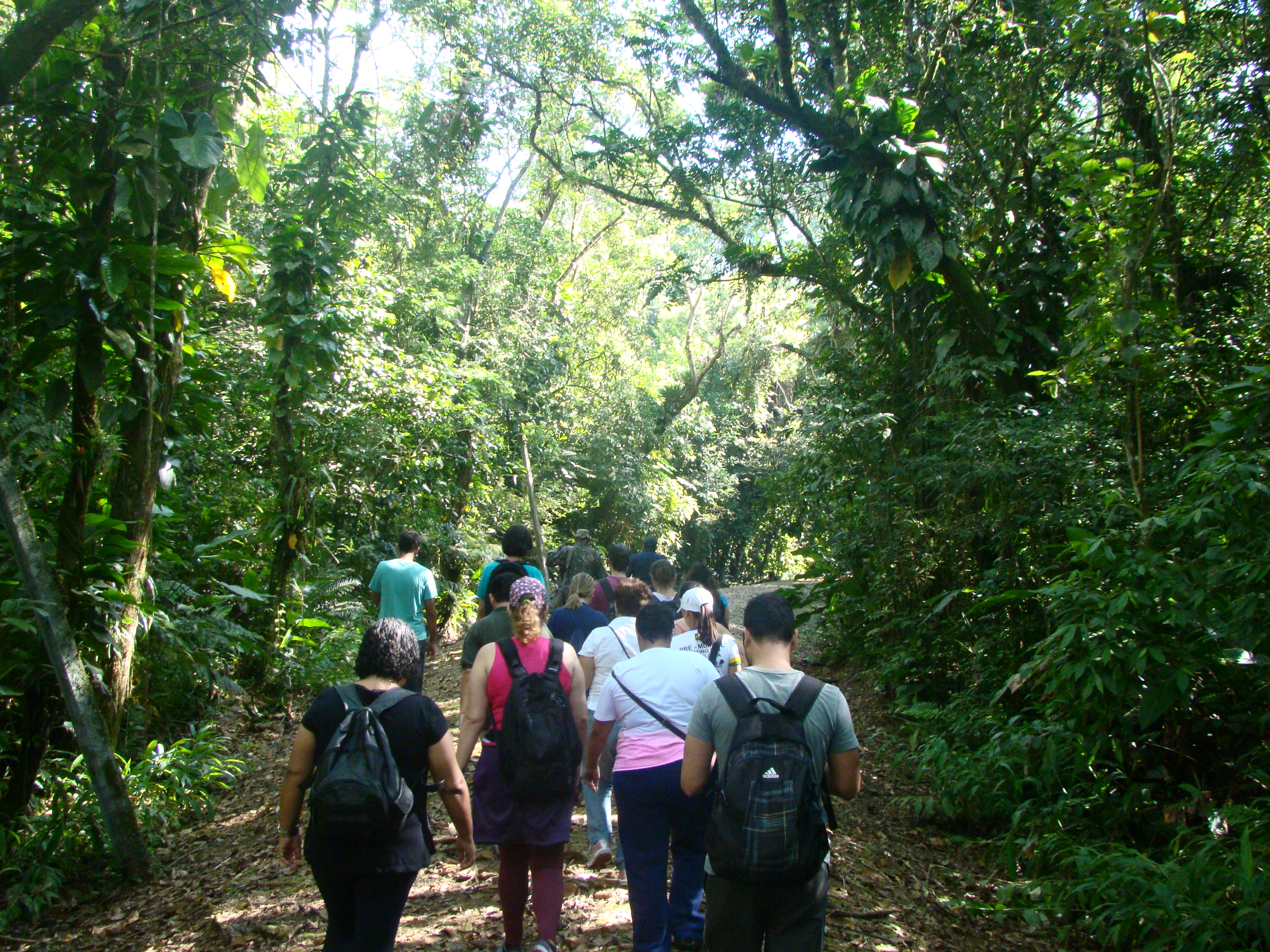 Um grupo de pessoas caminha por uma trilha em meio à densa vegetação de uma floresta tropical, com a luz do sol filtrando-se pela copa das árvores