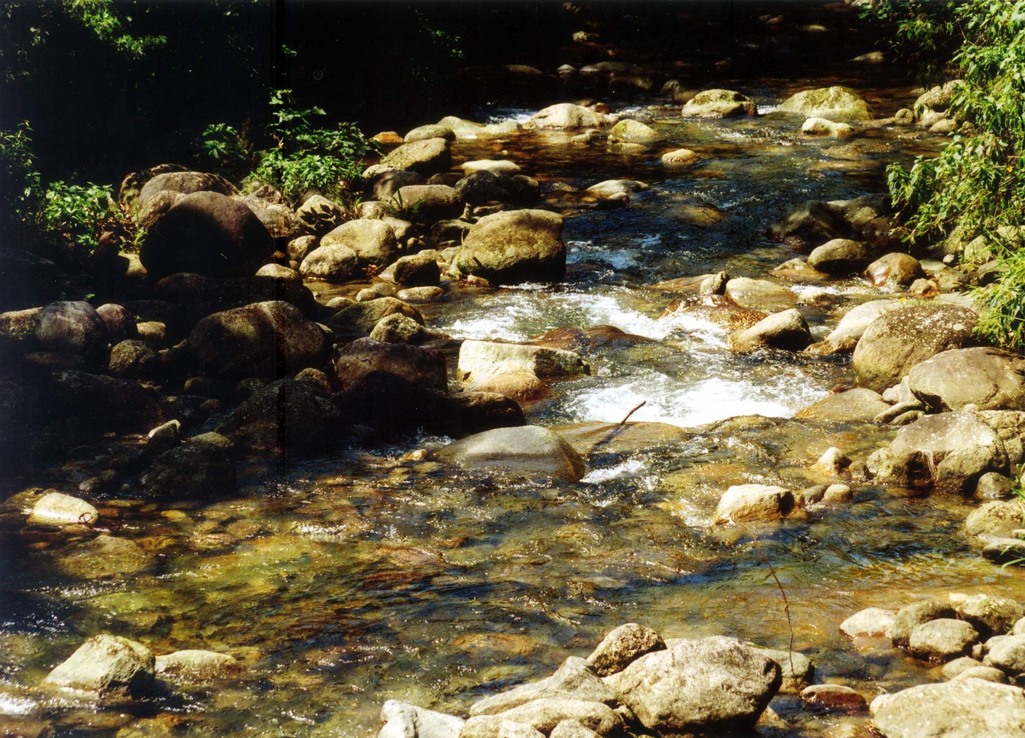 Riacho cristalino cercado por pedras e vegetação