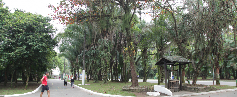 Parque arborizado com caminho de asfalto onde pessoas caminham e praticam exercícios. À direita, há uma pequena estrutura de madeira com cobertura, semelhante a um quiosque rústico. Ao fundo, muitas palmeiras e árvores altas cercam o espaço, criando um ambiente de natureza e tranquilidade.