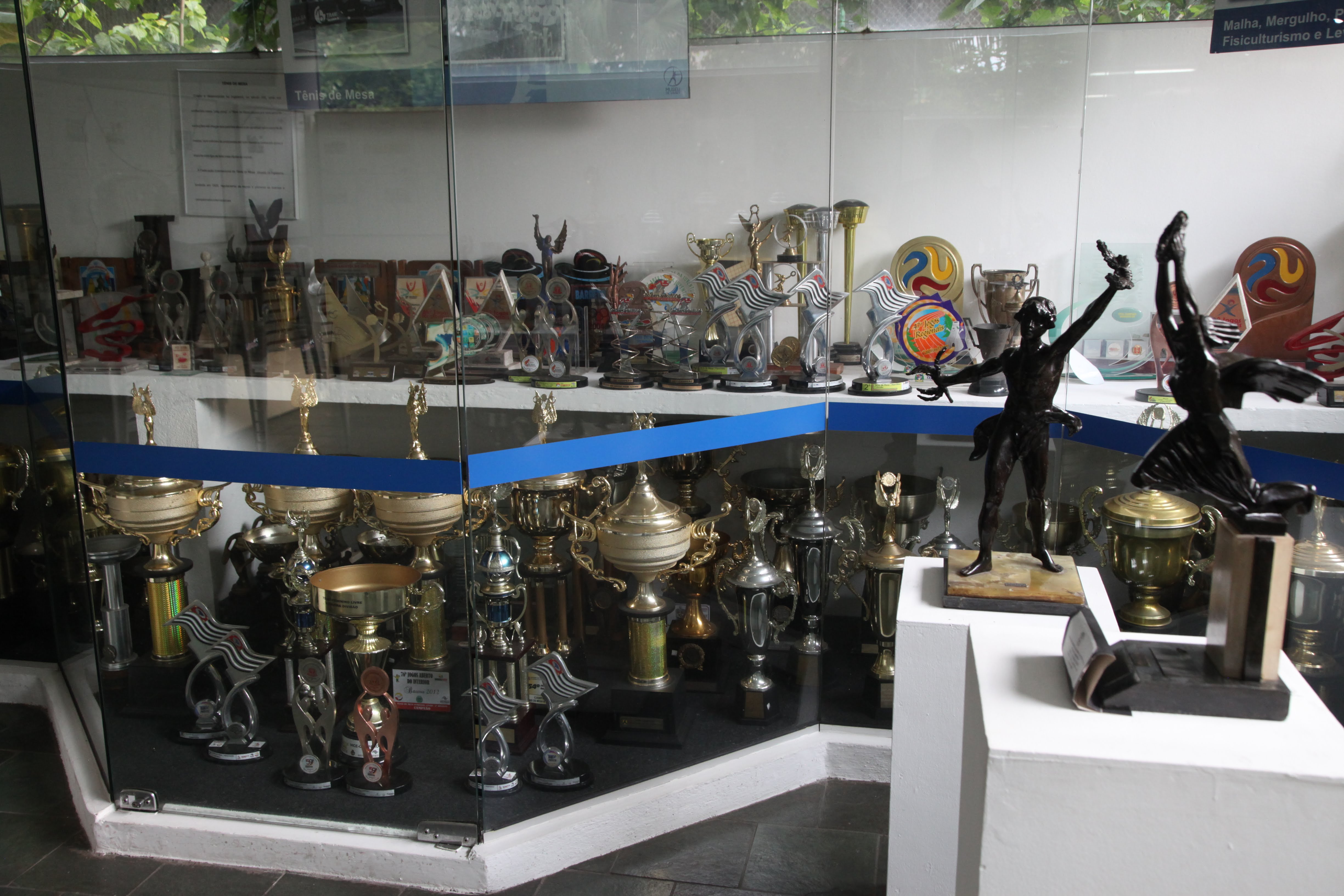 A wide glass display case showcases dozens of sports trophies and sculptures of various sizes and styles