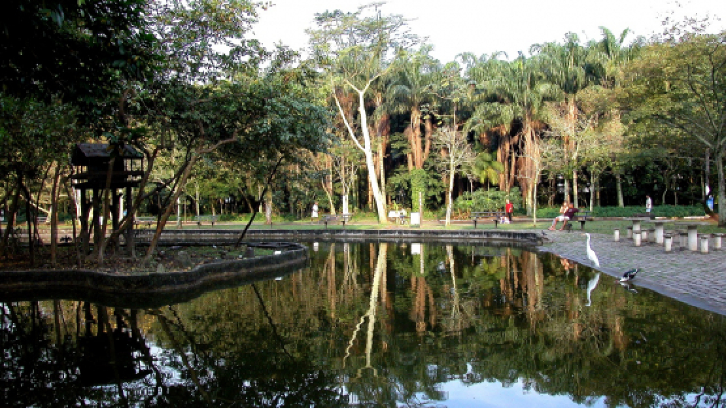 A imagem mostra uma área tranquila do Jardim Botânico de Santos. Em destaque, há um lago que reflete as árvores ao redor, criando uma cena harmoniosa e relaxante. À direita, vê-se um caminho de pedras onde algumas pessoas caminham e descansam em bancos, enquanto aves, como uma garça branca, aparecem próximas à água. O ambiente é cercado por vegetação densa, com árvores altas e palmeiras ao fundo, transmitindo a sensação de contato com a natureza em meio urbano.