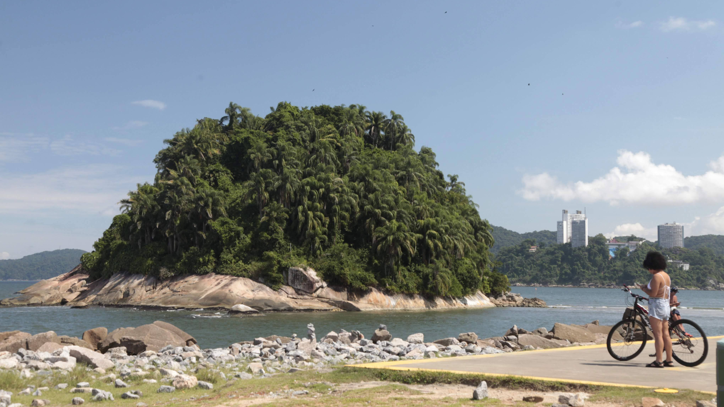 turista usando celular