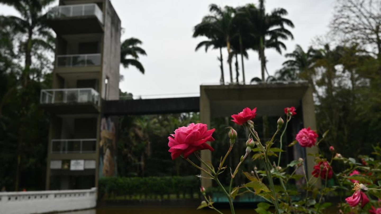 A imagem mostra uma cena no Jardim Botânico de Santos. Em primeiro plano, destacam-se flores de cor rosa vibrante, que aparecem bem nítidas e dão um contraste delicado ao fundo mais escuro e fechado de vegetação. Ao fundo, é possível ver a estrutura arquitetônica do parque: uma torre de concreto com varandas e um passarela suspensa que conecta à outra parte do prédio, rodeada por palmeiras altas. A composição une natureza e urbanidade, transmitindo a atmosfera tranquila e verde característica do espaço.