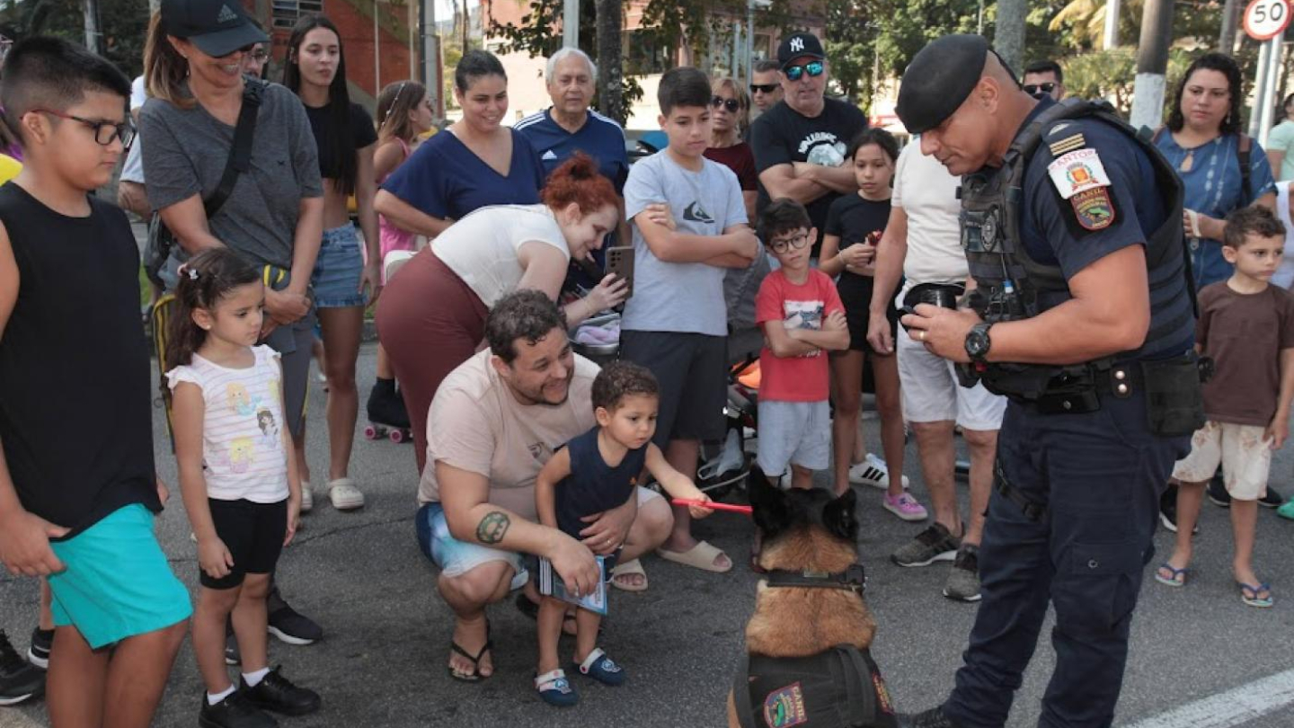 Lazer na orla com pessoas e cachorros