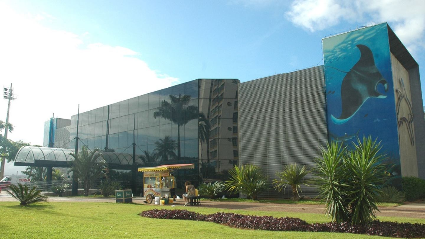 A imagem mostra a fachada moderna de um prédio envidraçado, com grandes janelas espelhadas que refletem o céu e as palmeiras ao redor. À direita, um grande mural artístico ocupa toda a lateral do edifício, retratando uma majestosa raia-manta nadando em um ambiente marinho, acompanhado de pequenos peixes.