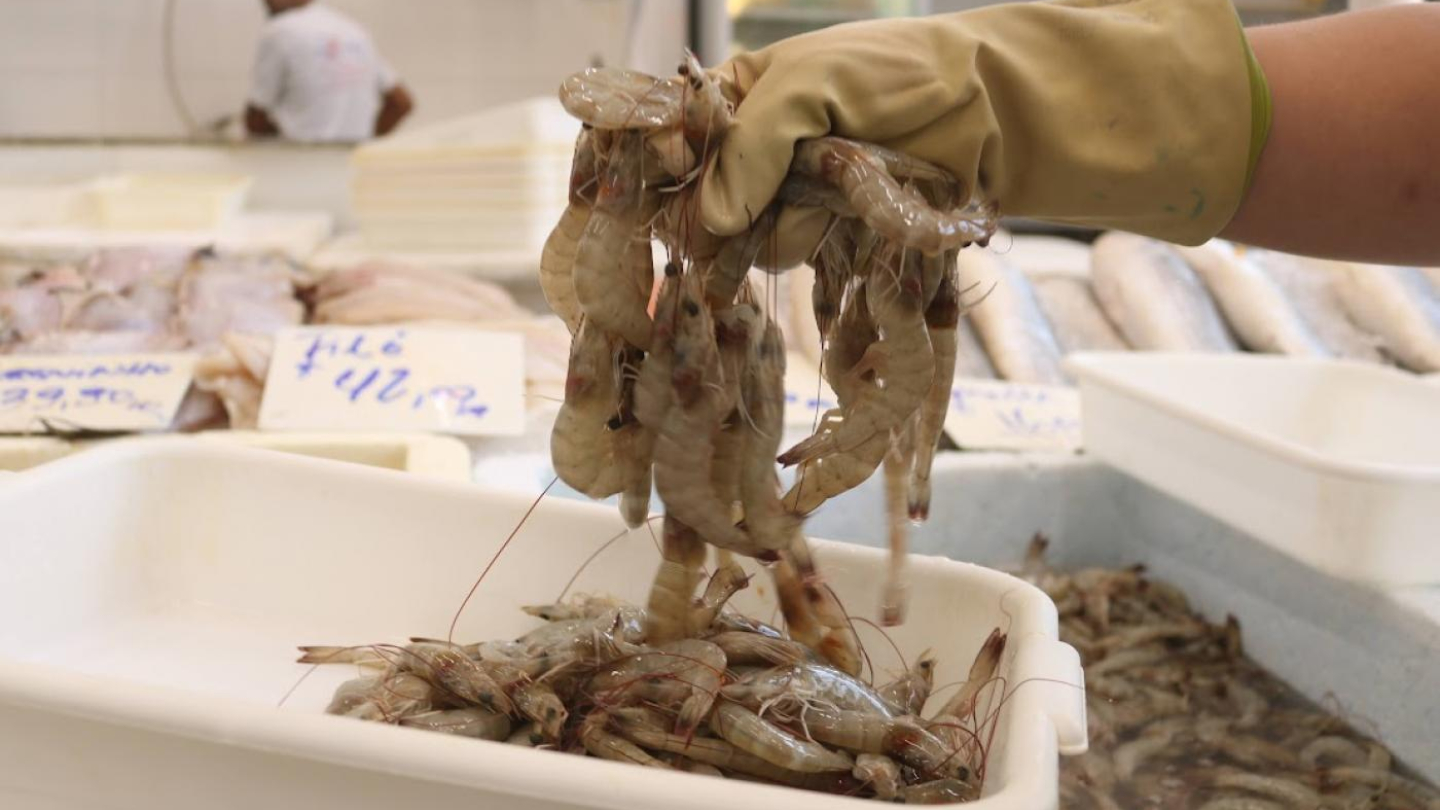 Close em uma mão, com luva, segurando uma porção de camarões crus, no ambiente interno do Mercado de Peixes em Santos