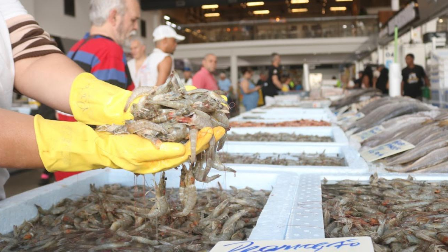 Mão com luvas amarelas segura uma porção de camarões cruz, num cenário de mercado de frutos do mar