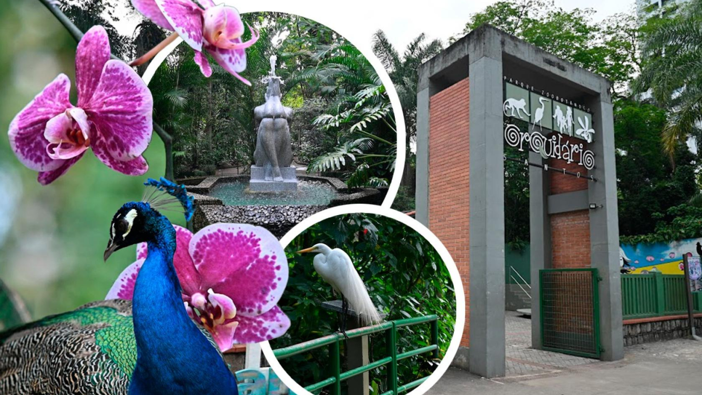 Montagem de fotos sobre o Orquidário de Santos, com orquídeas, pavão, estátua e portal de entrada do parque
