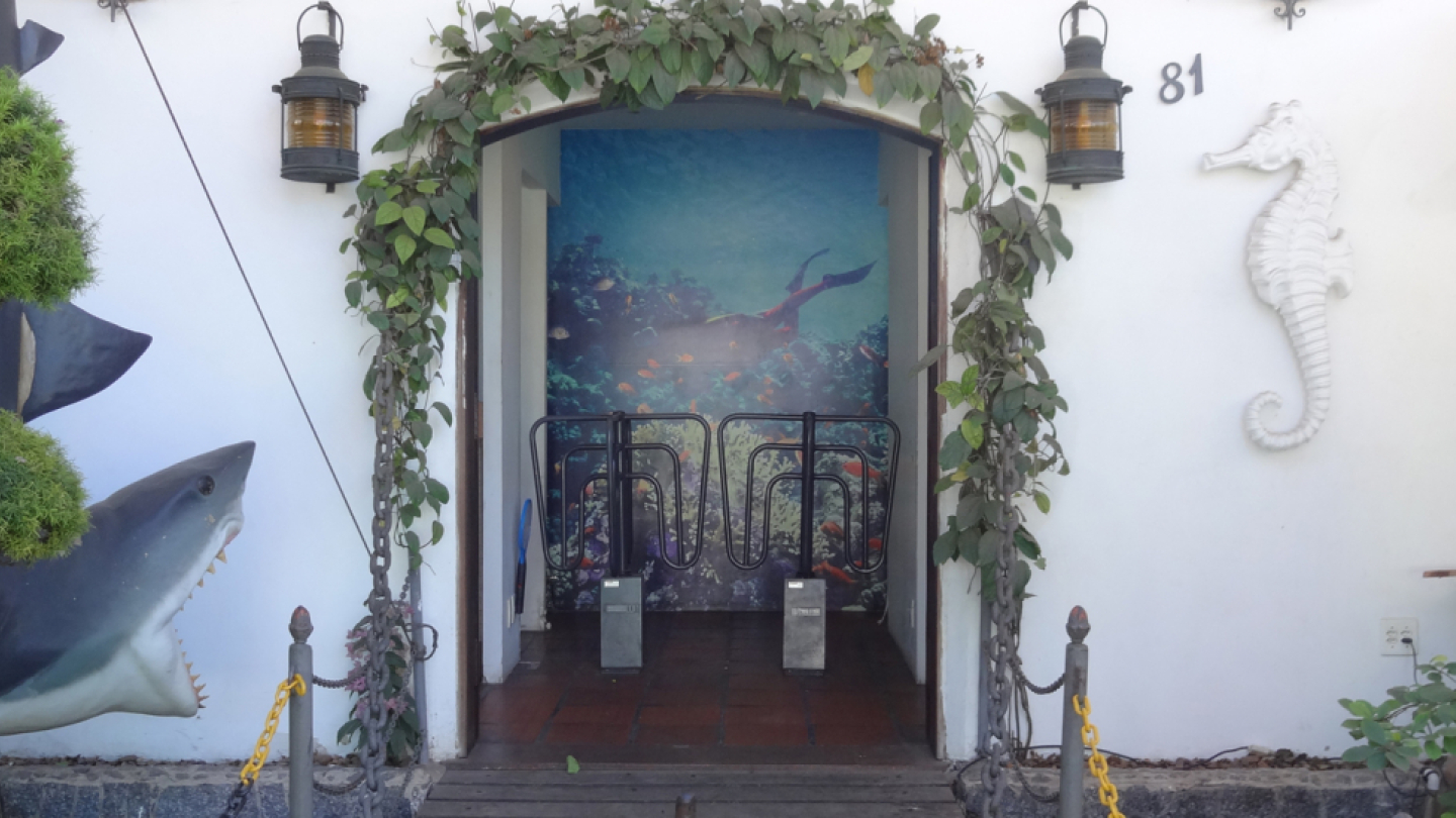 A imagem mostra a entrada de um espaço temático com decoração marítima. No centro há um portal arqueado adornado com trepadeiras verdes, conduzindo a um pequeno hall onde existem catracas de acesso. Ao fundo, uma parede apresenta uma grande imagem submarina com peixes coloridos e um mergulhador, criando um clima de “mundo subaquático”.