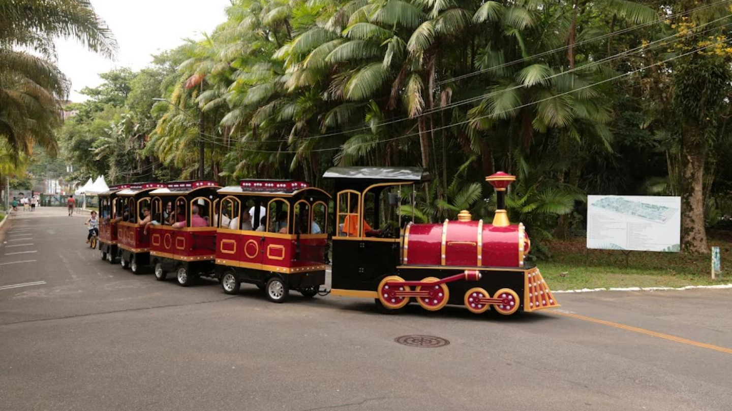 A imagem mostra um trenzinho turístico circulando por uma via interna cercada de muita vegetação. O veículo tem aspecto lúdico, com locomotiva e vagões em cores vibrantes — principalmente vermelho, preto e dourado — lembrando um trem clássico de brinquedo.