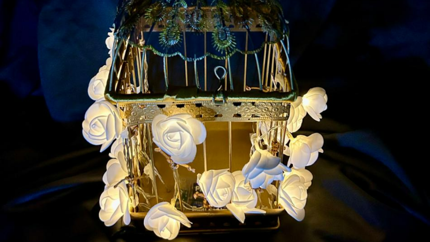 Uma gaiola decorativa dourada está iluminada por um cordão de luzes em formato de rosas brancas, destacando-se contra um fundo escuro