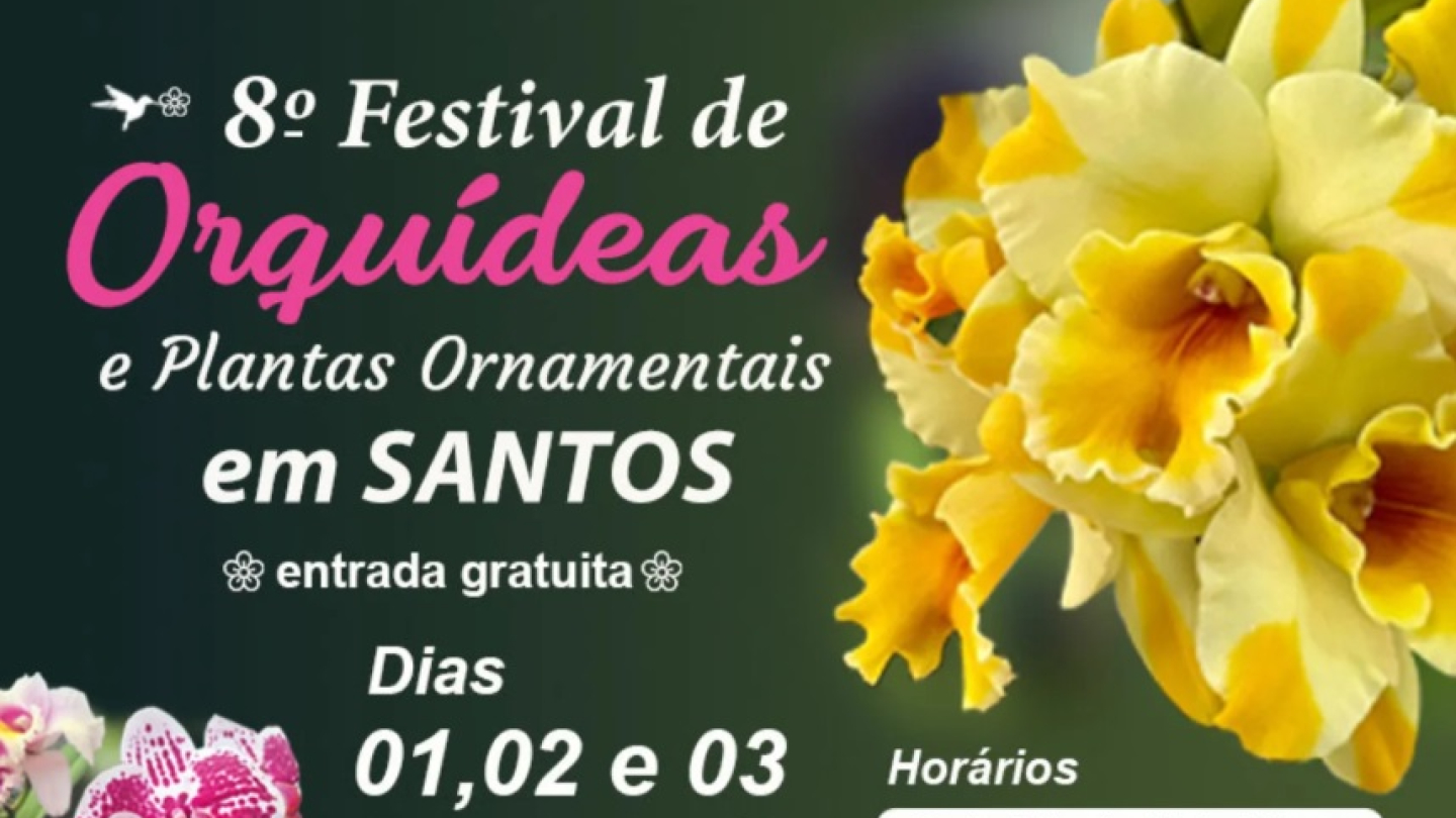 Cartaz sobre o 8º Festival de Orquídeas e Plantas Ornamentais em Santos, de 1º a 3 de maio, no Jardim Botânico Chico Mendes, com uma imagem de orquídea amarela 