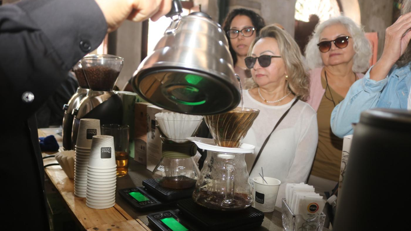 Festival Santos Café