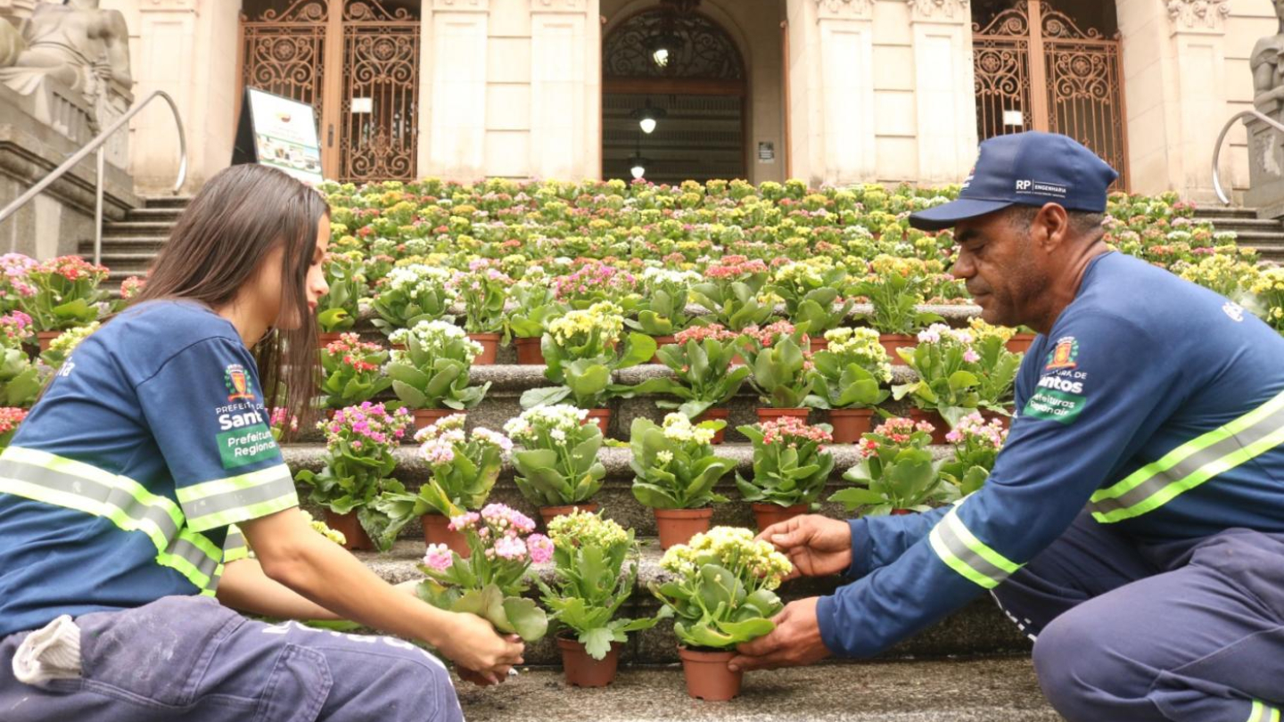 Primavera
