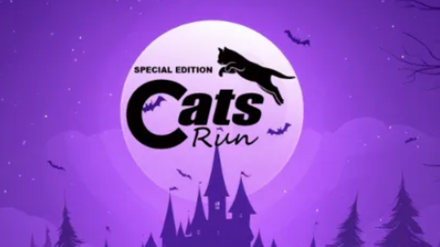 Cats Run 2026